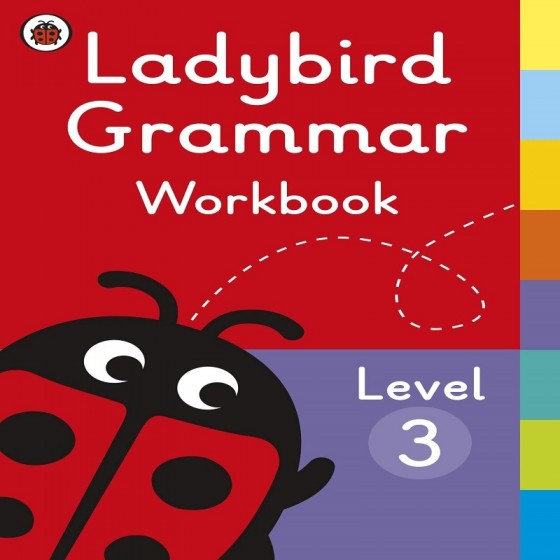 Level 3 grammar workbook