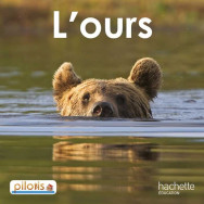 L'ours - Delphine Tendron