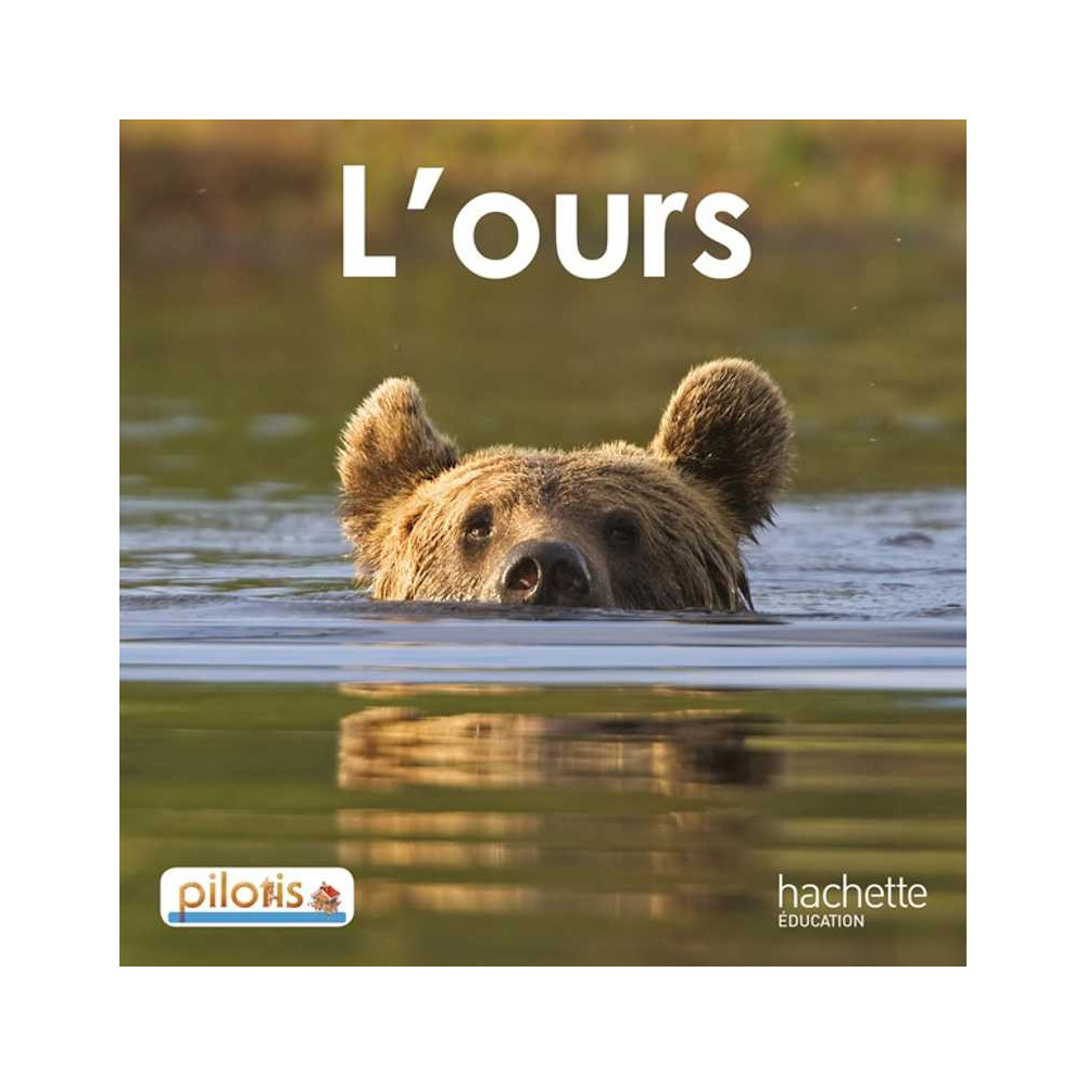 L'ours - Delphine Tendron