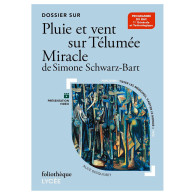 Pluie et vent sur Télumée Miracle - Simone Schwarz-Bart -Bac 2027