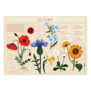 Les posters de l'école : Les Fleurs