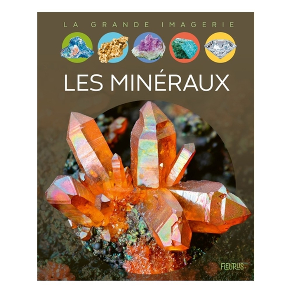 Les minéraux - Album Philippe Simon Evelyne Pradal