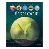 Les Romains - Album Sylvie Deraime, Giampietro Costa