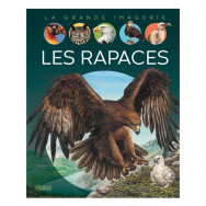 Les rapaces - Album Sabine Boccador, Bernard Alunni, Marie-Christine Lemayeur