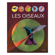 Les oiseaux - Album Raphaëlle Chauvelot