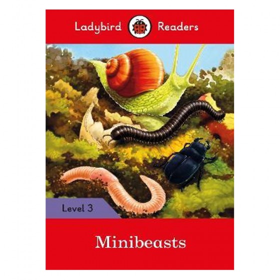 Ladybird Readers Level 3 :...