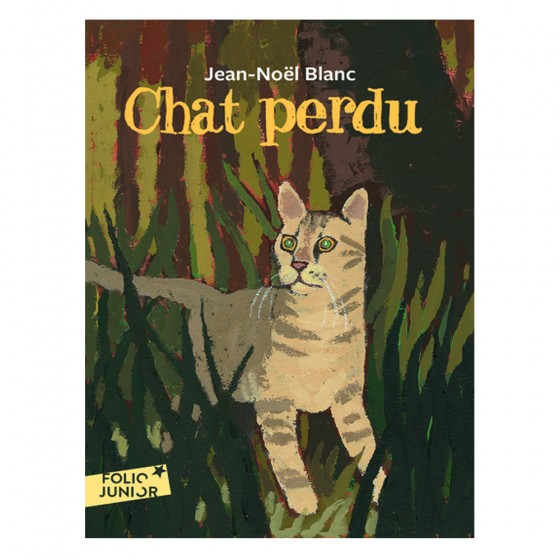 Chat perdu - Jean-Noël Blanc