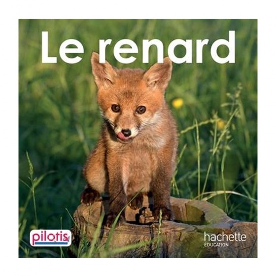 Le renard -  Delphine...