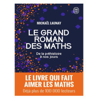 Le grand roman des maths - De la préhistoire à nos jours -  Mickaël Launay