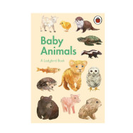 A Ladybird Book: Baby Animals