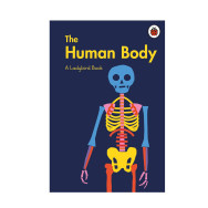 Human Body