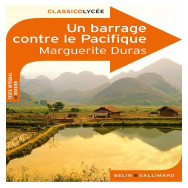 Un barrage contre le Pacifique