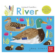 Animal Families: River