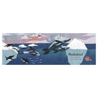 Pop-Up Peekaboo! Ocean