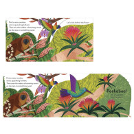 Pop-Up Peekaboo! Rainforest - DK