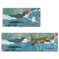 Pop-Up Peekaboo! Rainforest - DK