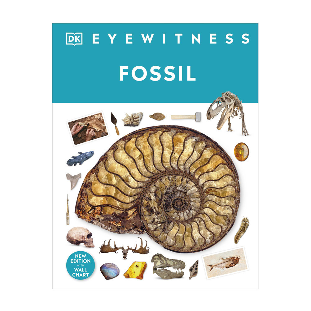 Fossil- DK Eyewitness