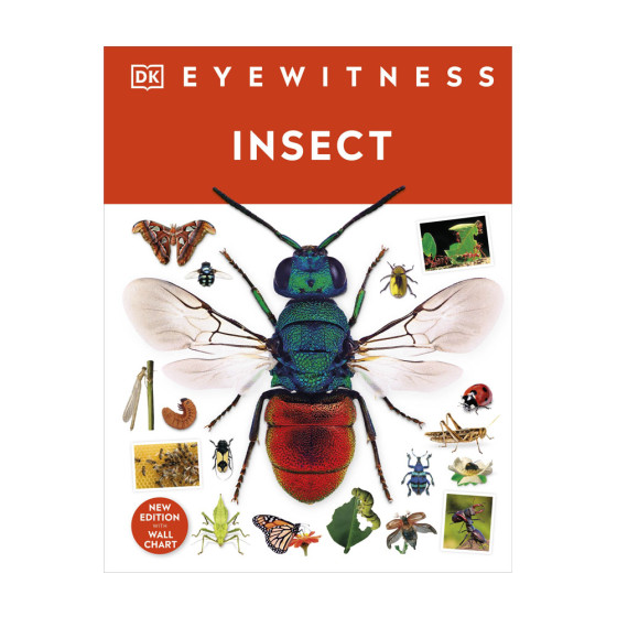 Insect - DK