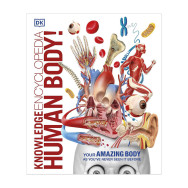 Knowledge Encyclopedia Human Body ! - DK