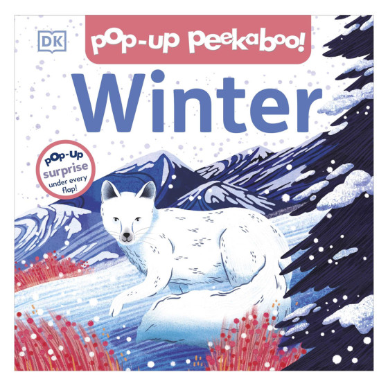 Pop-up Peekaboo! Winter