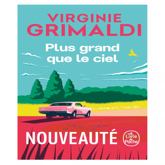 Plus grand que le ciel - Virginie Grimaldi