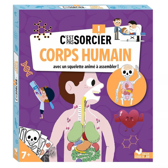 C'est pas sorcier Corps humain. Avec un squelette anime a assembler !