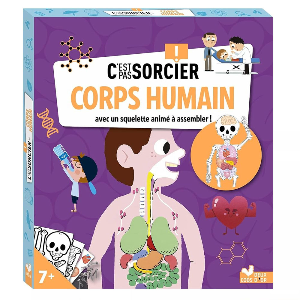 C'est pas sorcier Corps humain. Avec un squelette anime a assembler !