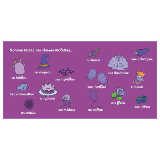 Ma petite bibliothèque des couleurs T'choupi