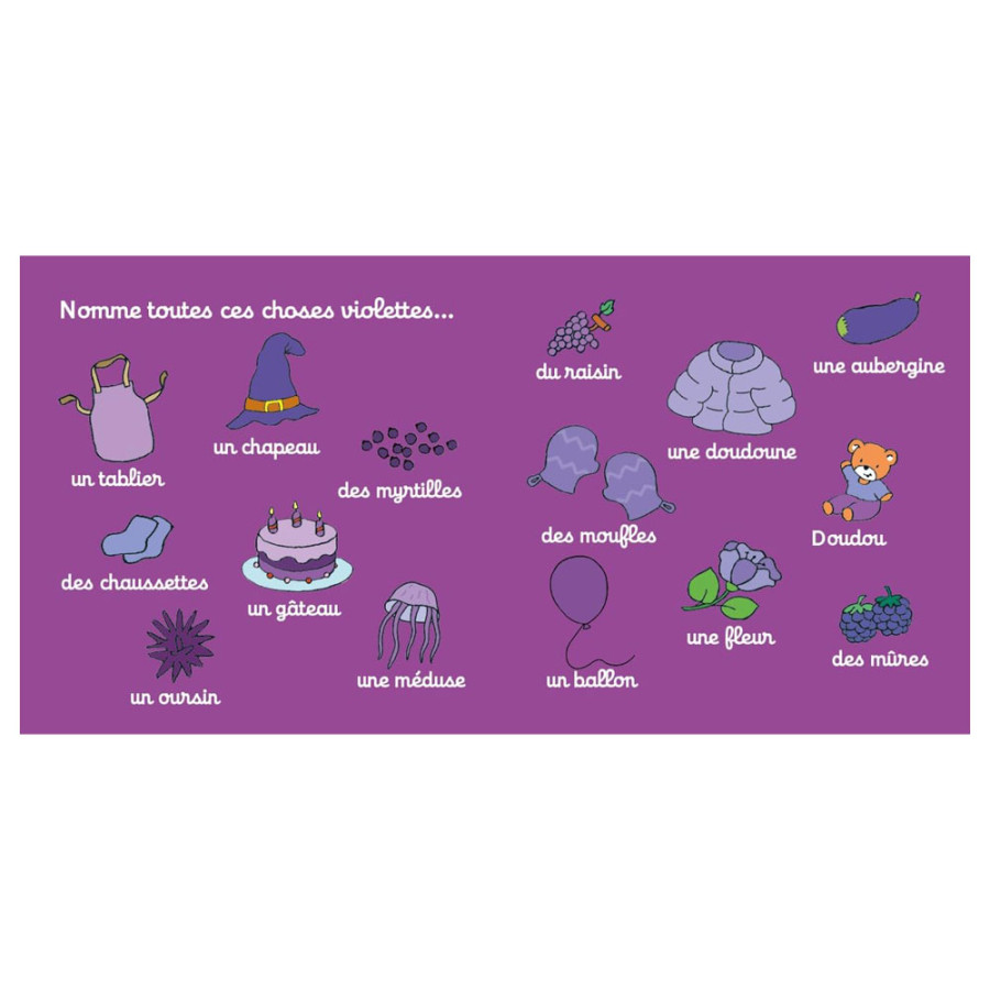 Ma petite bibliothèque des couleurs T'choupi