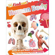 DKfindout- Human Body