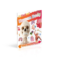 DKfindout- Human Body