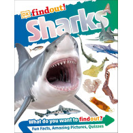 DKfindout - Sharks