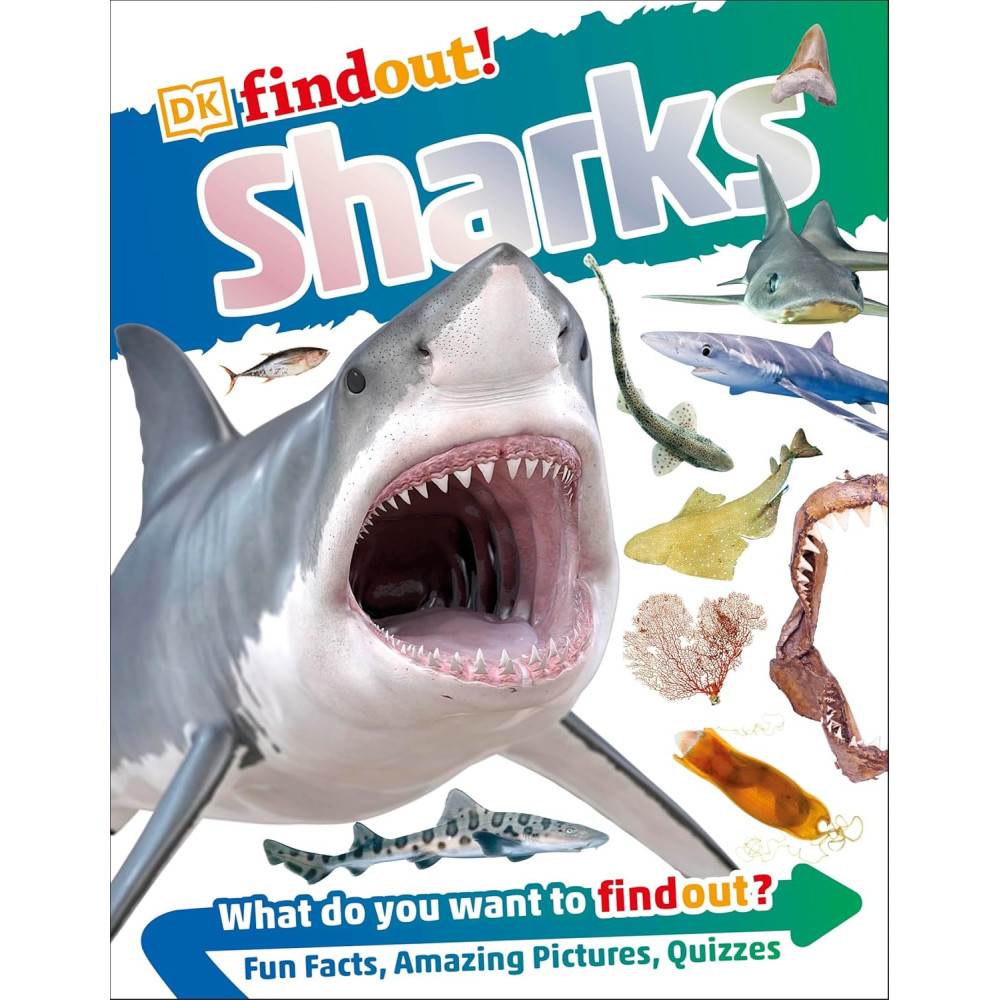 DKfindout - Sharks