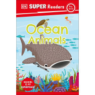 Ocean Animals