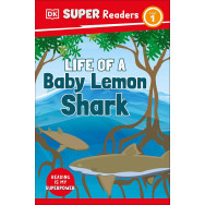 Life of a Baby Lemon Shark