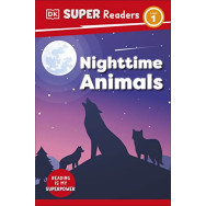 Night-time Animals