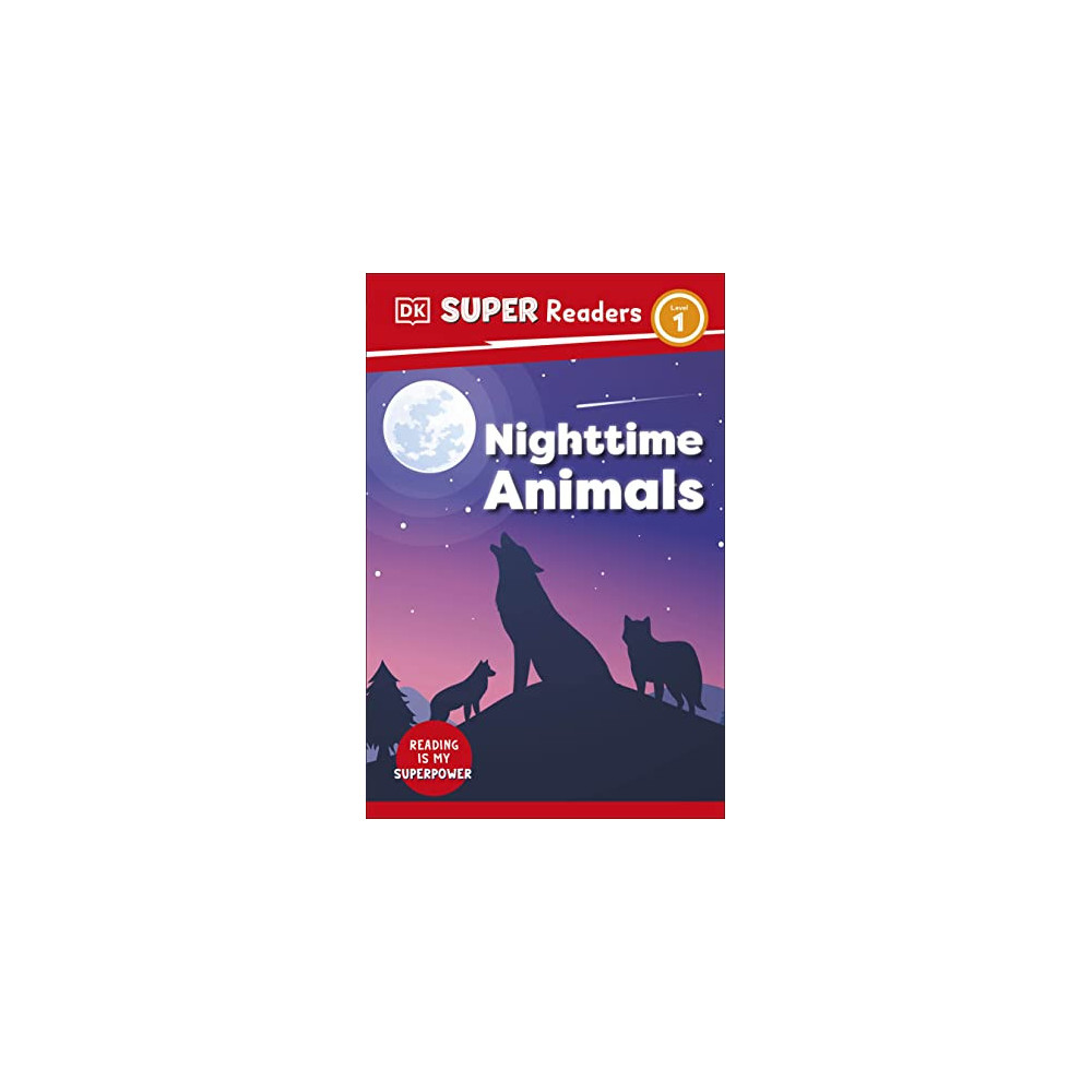 Night-time Animals