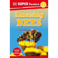 Amazing Bees