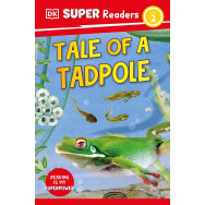 Tale of a Tadpole