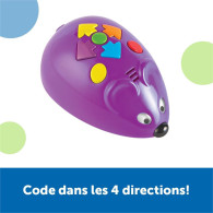 Learning Resources - Code & Go Robot Mouse