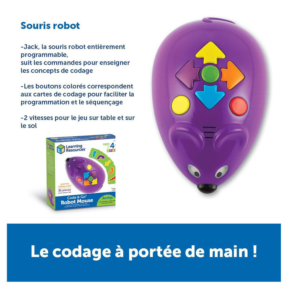 Learning Resources - Code & Go Robot Mouse