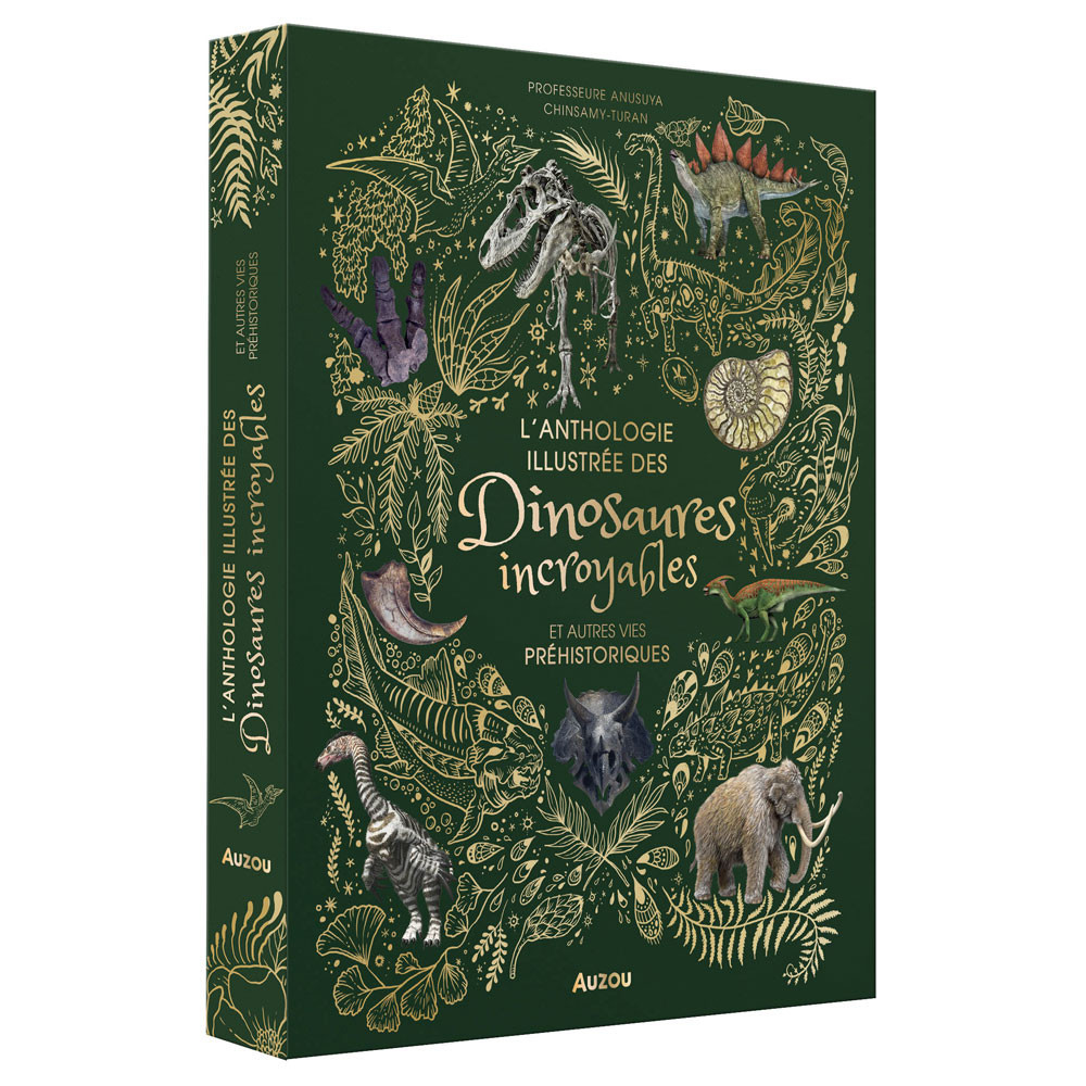 L'anthologie illustrée des dinosaures -Blattner Caroline